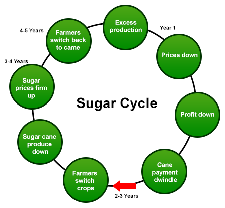 Sugar Cycle