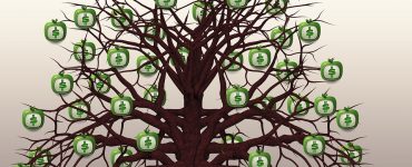 Stock Investing: be like a fruit orchard owner