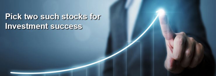 Pick two such stocks for investment success