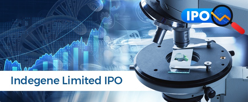 indigene limited ipo review